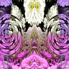 When Jean Luc Picard Has Some Vacation Time