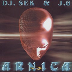DJ Sek & DJ Pont-6 – Arnika (DjGirartic Remix)