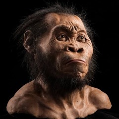 HOMOSAPIAN