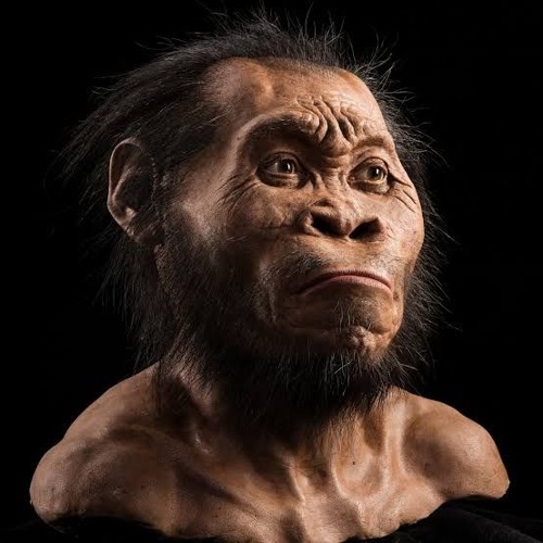 HOMOSAPIAN