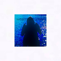 wearenothuman.com