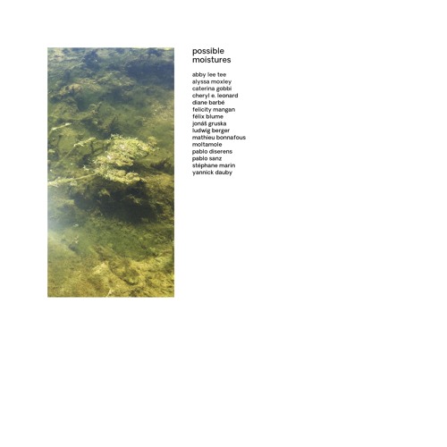 félix blume — amazonian dolphin