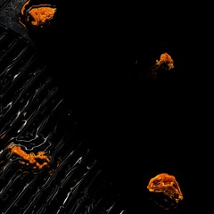 Lost In Ether | P R E M I E R E | Black Mirror Park - It Was All A Dream [is serving]