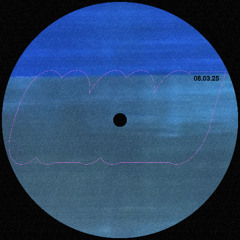 Vinyl Path 001 at Brik.Space