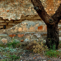 muro ( original mix )