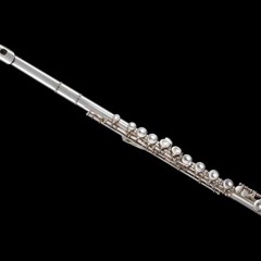 Flute Satie - ﻿Gymnopédie No.1