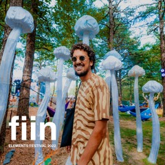 fIIN @ Elelements Festival, PA 2022