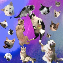 Le Carnaval Des Animaux : Fossiles - IMSBO RMX -