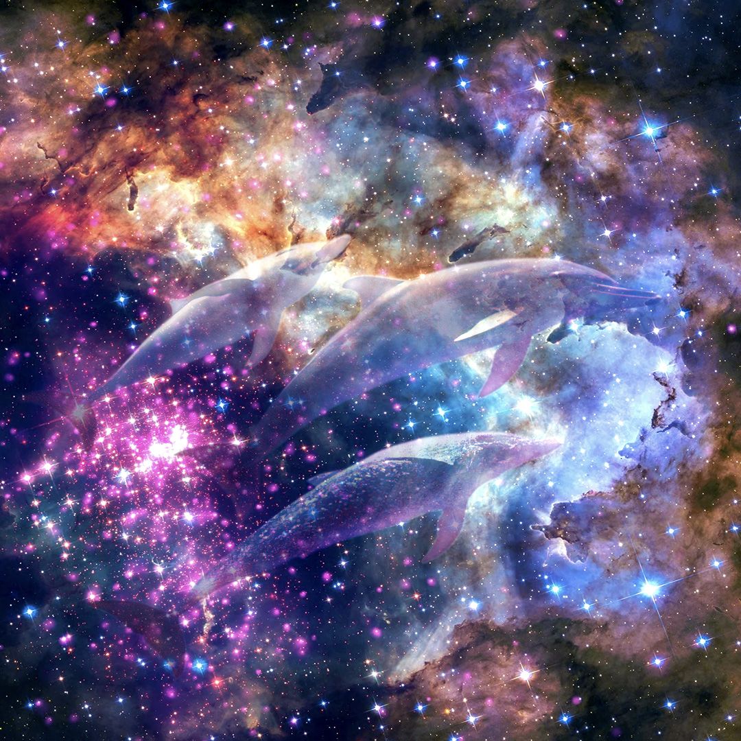 Cosmic Dolphin