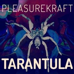 Pleasurekraft -Tarantula (Okkerman & Huseyin Onen & BayChocolatte Edit )