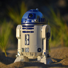 Ancient Jungle Robots