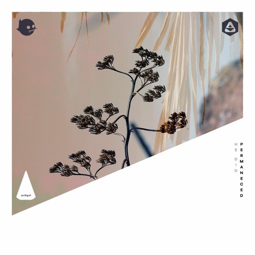 He Did - La Promesa [Archipel]