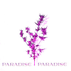 Paradise (prod.Caydoboat)