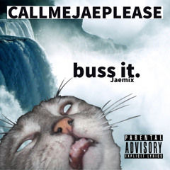 Buss It Jaemix
