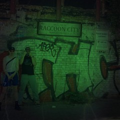 DMCG B2B Cryme. [RACCOONCITY]