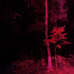 walk away as the door slams