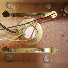 Black Beans (HNW™)