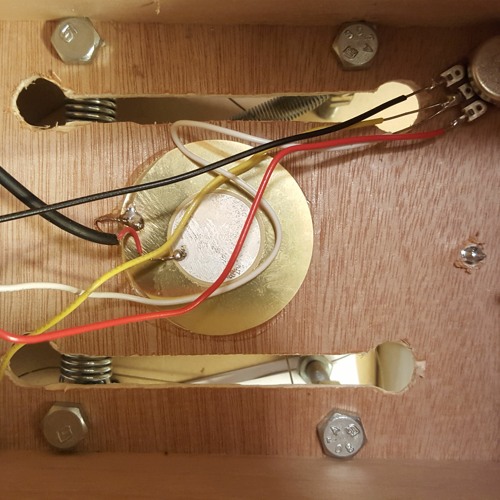 Black Beans (HNW™)