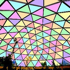 NoNo's Geodesic Home