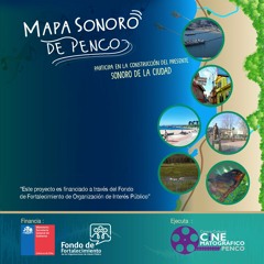 23 Copec Camino A Concepción (28 - 12 - 2020)
