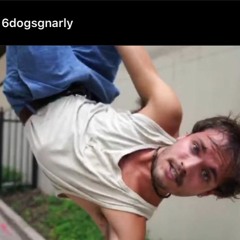 6 Dogs  Tactic CDQ Prod Danny Wolf 6 Wolves 2 INTRO