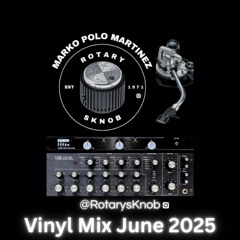 Live from Hudson Yards NYC Vinyl Mix June 2025
