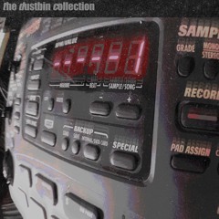 the dustbin collection