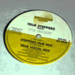 True Steppers - The Finest (steppers dub mix) (2000 viynl)