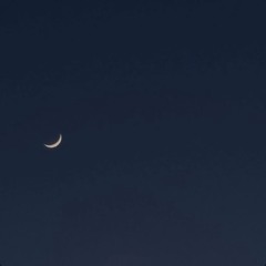 Parlo Alla Luna (Snippet)