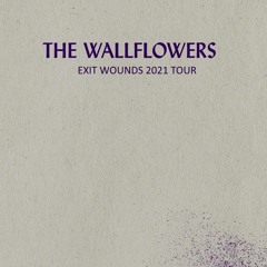 The Wallflowers - The Dive Bar In My Heart (live 6/8/2021)