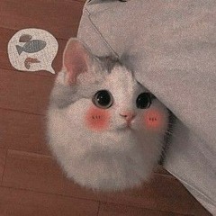 Thiếu niên (Blackcat remix)