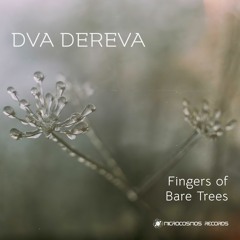 Dva Dereva — Fingers Of Bare Trees