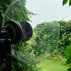 Busy bumblebees in rain