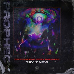 Dropgun - Try It Now feat. Boba Sheshera
