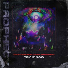 Dropgun - Try It Now (feat. Boba Sheshera)