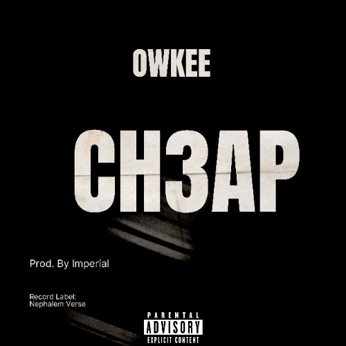 OWKEE - CH3AP