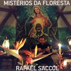 Rafael Saccol- Mistérios da Floresta