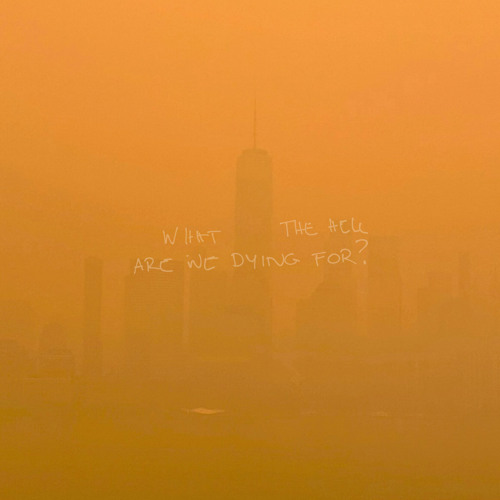 WHAT THE HELL ARE WE DYING FOR ?