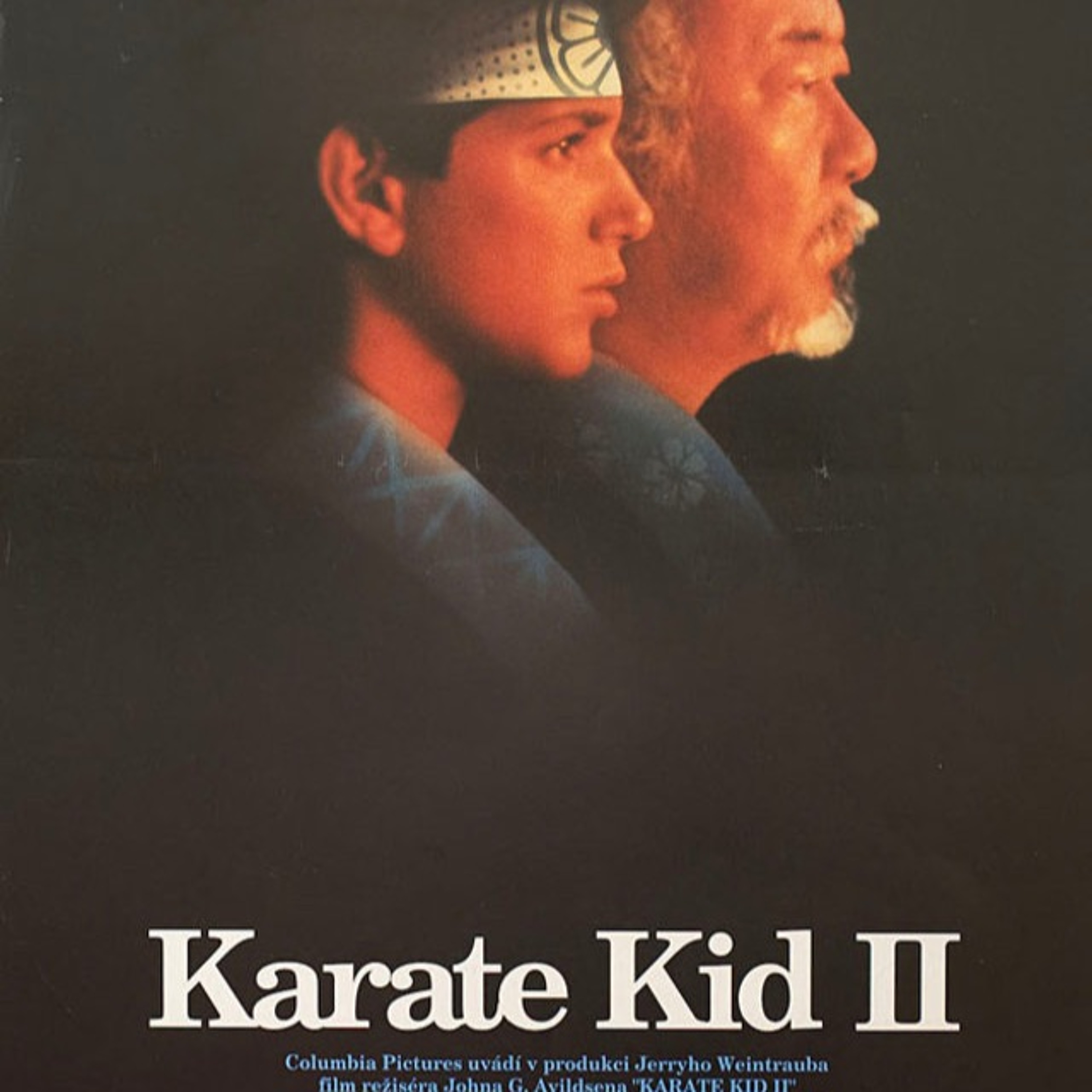 The Karate Kid II