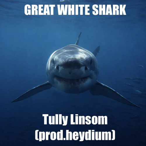 Great White Shark -Tully Linsom (prod.heydium)