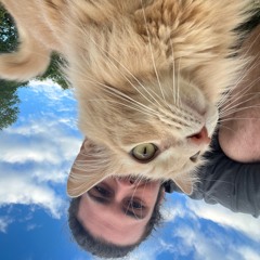 JMSN - Love me (Juicycat Remix)