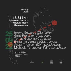 13.314 km Syncretic Sounds - Valdivia Meets Copenhagen