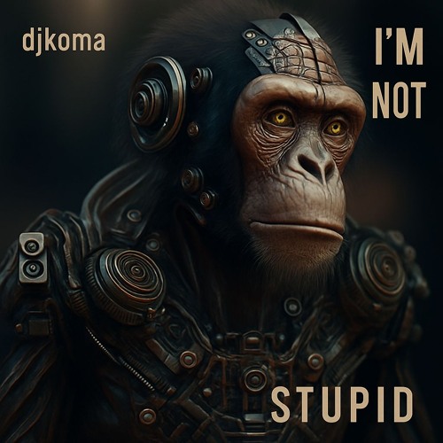 I_am_N_Stupid_Rap_ENG