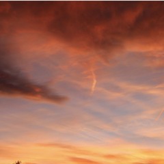 BONES - VHS (no feature/nasty matt)