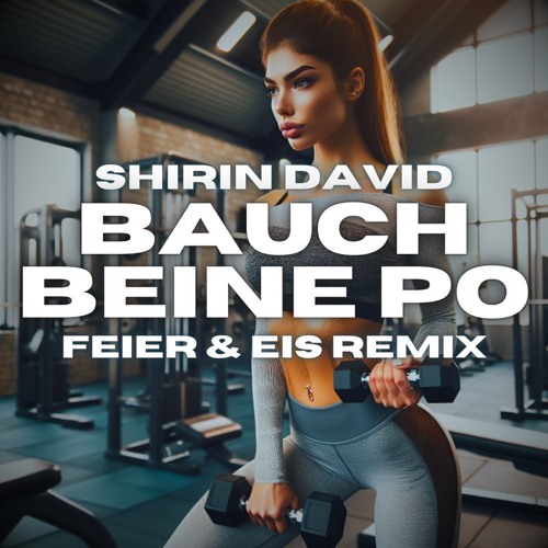 Shirin David - Bauch Beine Po (FEIER & EIS Remix) - 140 BPM -  Top 3 Charts DJcity