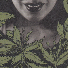 LOKAL_KAOS_14/05/2025