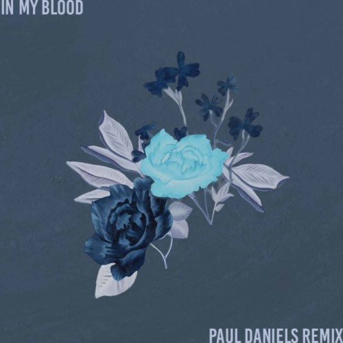 In My Blood - Shawn Mendes (Paul Daniels Remix)