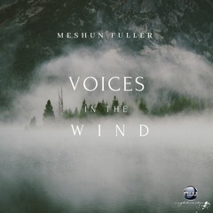 Voices In The Wind (Produced by Derrick Joshua)