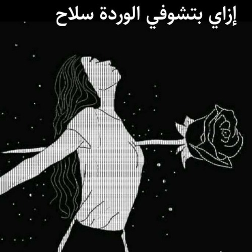قصيده (ازاي بتشوفي الورده سلاح) كتابه والقاء (احمد علام )