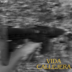 Vida Callejera